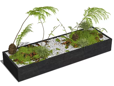 Bonsai Potted Plant in Black Rectangular Container with Green Ferns Moss Small Pebbles and Decor 3d model