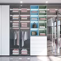 Modern Luxury Closet Interior With Glass Doors Folded Clothes Hanging Garments And Drawers