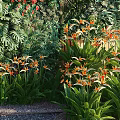 Outdoor Living Plant Wall Design With Red Awning Wooden Backdrop And Small Water Feature