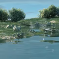 Natural Scenery Featuring Blue Sky Green Trees Rocks Grassland and Dandelion Seeds on Water