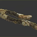 Natural Wood Stone Pieces With Natural Shape And Dark Light Brown White Surface Texture