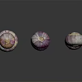 Fresh Purple And White Onions Whole And Halved On Black Background