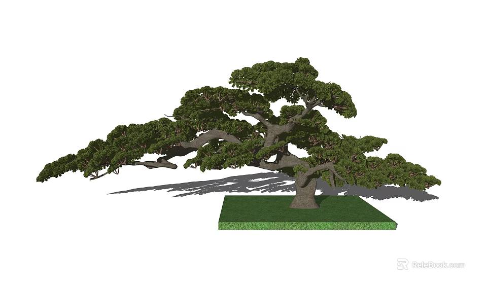 Artistic Bonsai Tree as Garden Ornament with Curved Trunk Green Foliage and Square Base 3d model 