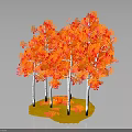 Vibrant Red Leaf Trees With White Trunks On Yellow Ground And Fallen Leaves