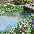 Garden Landscape With Pond Purple And White Flowers Wooden Bridge Green Plants And Fish