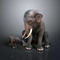 Adult Elephant And Baby Elephant Standing Together On Dark Background