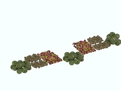 Colorful Fresh Fruits Display With Green Watermelon Slices Red Berries And Brown Nut Like Fruits 3d model