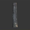 Tall Textured Plant Trunk With Natural Wood Grain On Dark Background