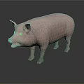 Realistic Pink Pig With Open Mouth Standing On Gray Background With Reflection