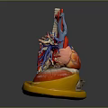 Human Heart Anatomical Model With Red Blue Blood Vessels On Yellow Base