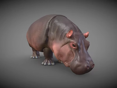 Modern Hippo 3d model Modern Hippo 3d model