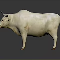 White Bull With Horns Standing On Dark Background With Reflection 3d model
