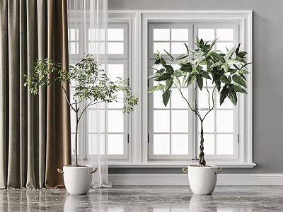 Modern Potted Green Plant Bonsai Combination 3d model Modern Potted Green Plant Bonsai Combination 3d model