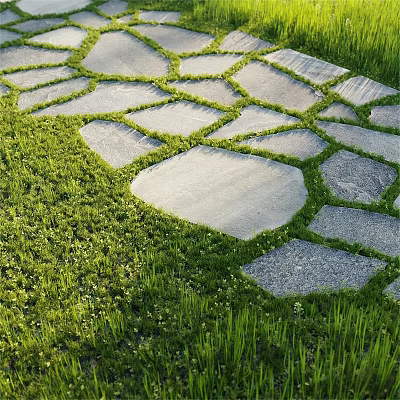 Stepping Stones Path Design Through Green Grass With Irregular Stone Slabs 3d model
