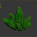 Green Leaf Shaped Crystal Structure With Glossy Surface And Black Background Reflection