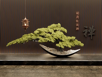 New Chinese Bonsai Pine Bonsai 3d model