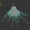 Eukaryotic cell cross section cell cell structure cell tissue anatomy organ human organ model 3d model