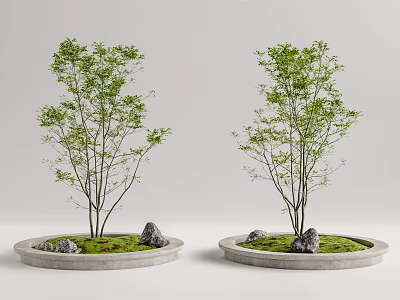 Modern Round Flower Planters Featuring Green Small Trees Stones and Moss 3d model