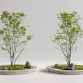 Modern Tree Pool Landscape Tree Pool 3d model