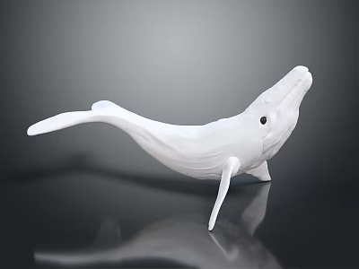 Detailed White Whale Model Displayed On Dark Background With Reflection 3d model