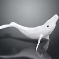Detailed White Whale Model Displayed On Dark Background With Reflection
