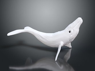 modern whale blue whale cartoon whale mammal 3d model