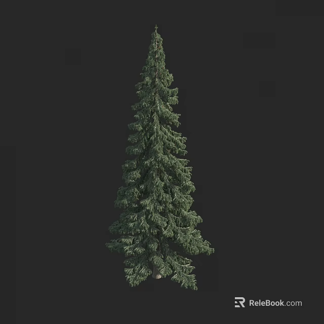 Tall Lush Evergreen Arbor Featuring Dense Green Foliage And Extended Branches 3d model 