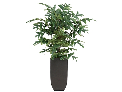 green plant potted tree model