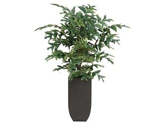 green plant potted tree 3d model