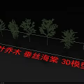 Realistic Detailed Deciduous Weeping Crabapple Tree 3D Models for Landscape Design 3d model