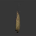 Woven Hanging Baskets For Household Use With Hooks In Two Sizes