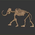Modern skeleton elephant skeleton bone 3d model