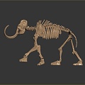 Modern skeleton elephant skeleton bone 3d model