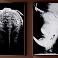 Set of Four Black and White Animal Paintings With Detailed Wildlife Portraits