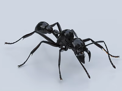 Detailed Realistic Glossy Black Ant Sculpture with Artistic Carving and Lifelike Features 3d model