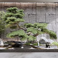 Karesansui Japanese Rock Garden Design With Pine Tree Stones And Gravel