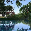 Beautiful Tropical Waterside Landscape With Reflecting Pool And Lush Palm Trees Under Bright Blue Sky