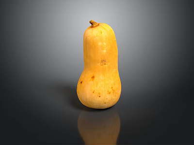 Fresh Whole Yellow Squash on Dark Background with Natural Reflection 3d model