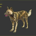 Realistic African Wild Dog 3D Model With Spotted Fur Large Ears And White Tail