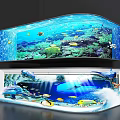 Large Aquariums With Underwater Scenery Coral Reef Tropical Fish And Dolphins