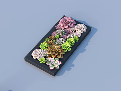 Bonsai Succulent Plants In Black Rectangular Tray With Pink Green White Varieties Neatly Arranged 3d model