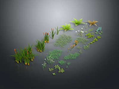Diverse Green Plants With Different Heights Shapes Herbs Ferns And Small Flowers On Dark Background 3d model
