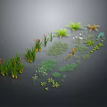 Diverse Green Plants With Different Heights Shapes Herbs Ferns And Small Flowers On Dark Background