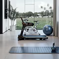 Modern Home Recreation Room With Gym Equipment Plants And Natural Light