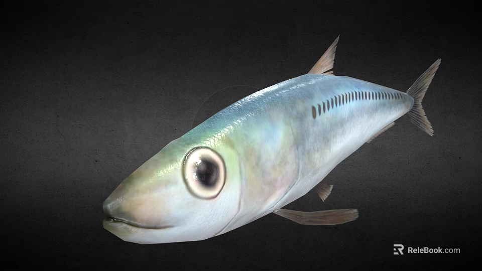 Realistic 3D Rendered Silver Fish With Large Eye On Black Background 3d model 