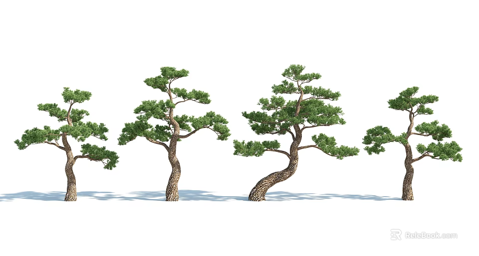 Pine Trees With Curved Trunks And Lush Green Foliage Arranged In A Row 3d model 