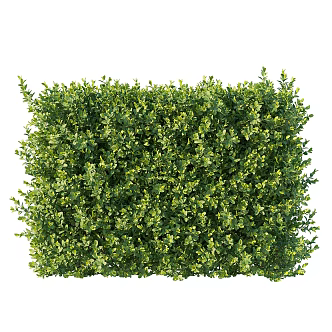 Modern shrubs 3d model