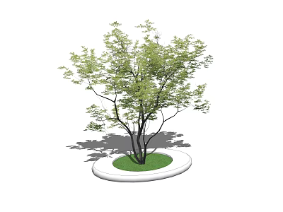 Decorative Garden Ornament Featuring Green Leafy Tree on Circular White Base with Grass 3d model