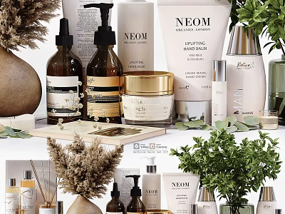 Stylish Bathroom Accessories With Bottles Jars Trays And Natural Plant Decorations 3d model