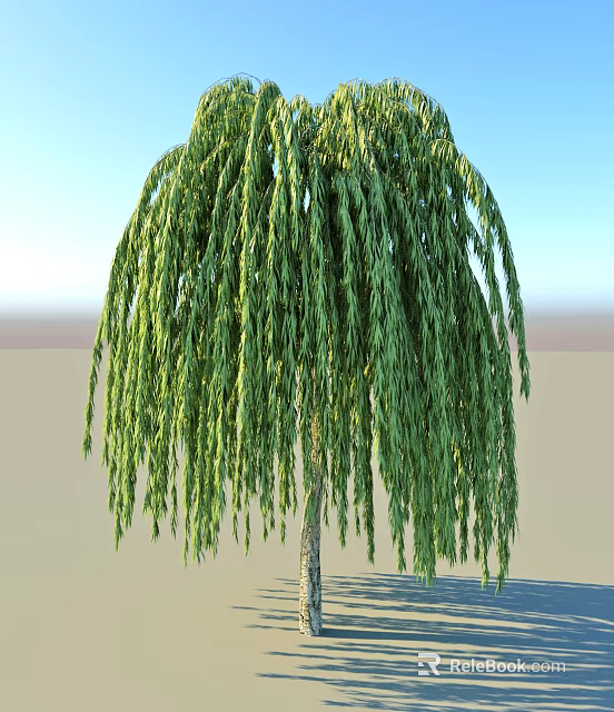 The Graceful Weeping Willow Tree with Long Hanging Green Branches Against Clear Blue Sky 3d model 